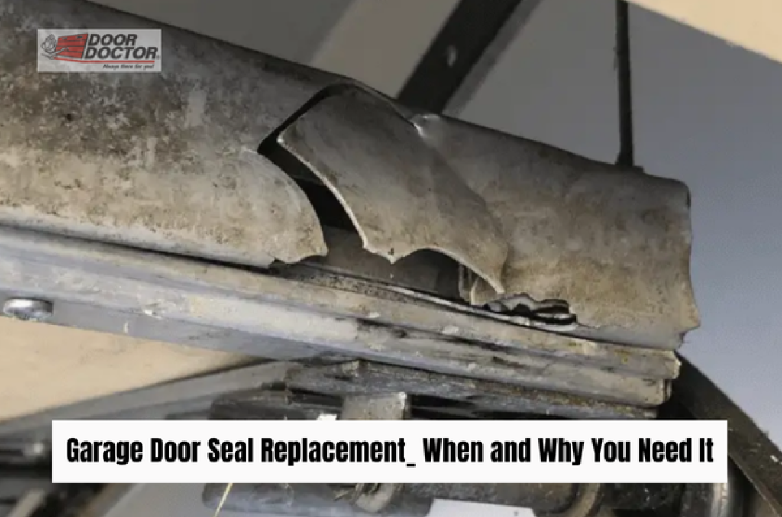 Garage Door Seal Replacement_ When and Why You Need It